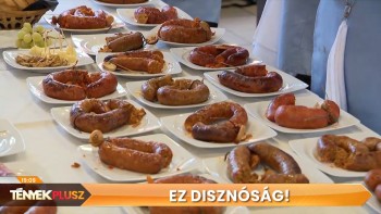tenyekplusz ezdisznosag